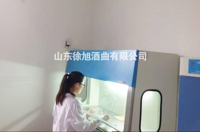 菌種制作